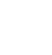 Алматинская бойцовская академия Alfa